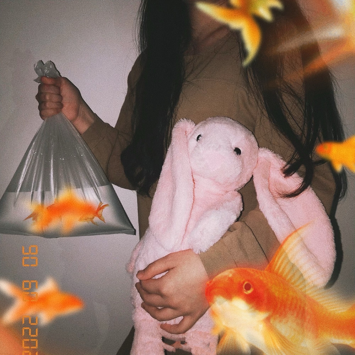 金鱼大片来啦 1 将塑料袋装水变身小鱼缸 2 将图片 美图社区 美图秀秀