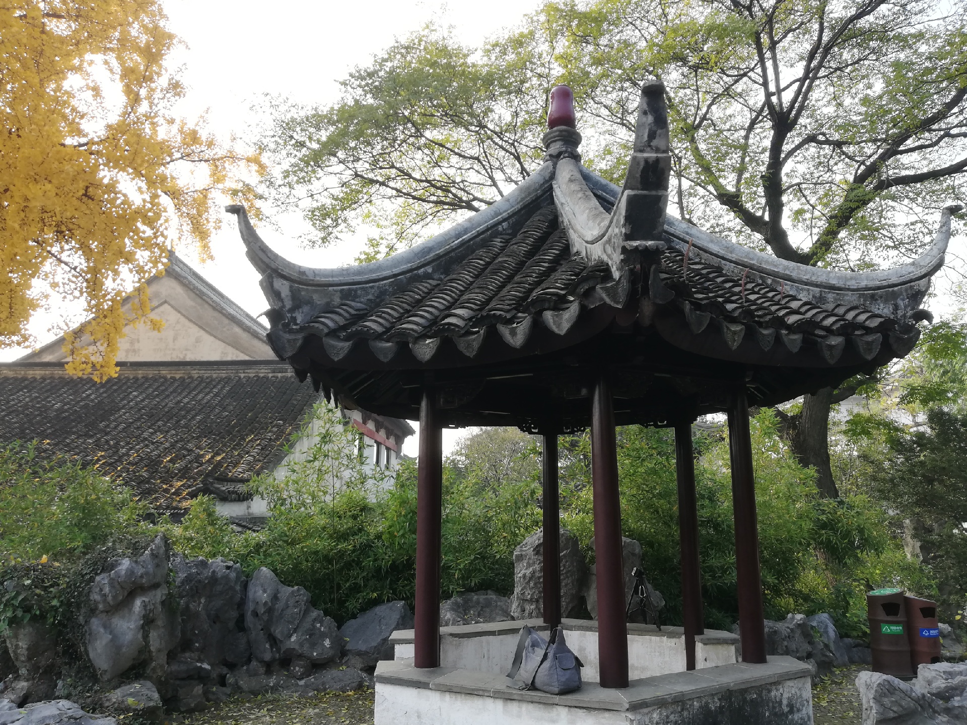 怡园 秋风吹落叶 花瓶待梅开 美图社区 美图秀秀