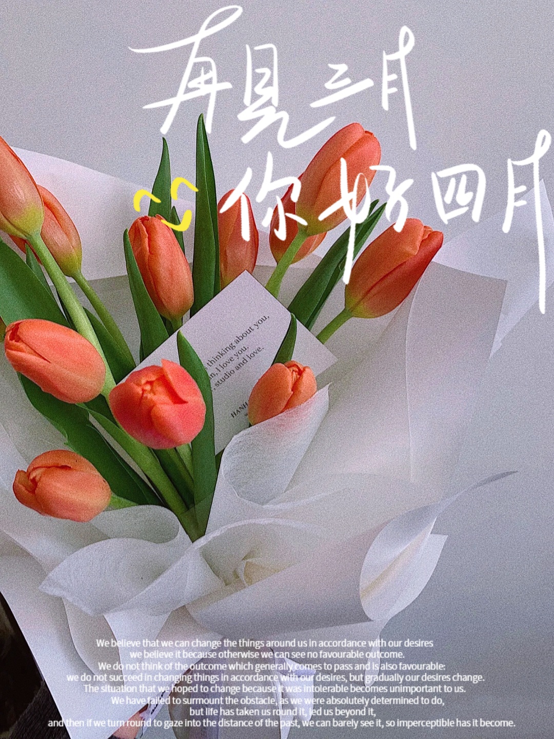 四月你好 郁金香花束 简约高级感 美图社区 美图秀秀