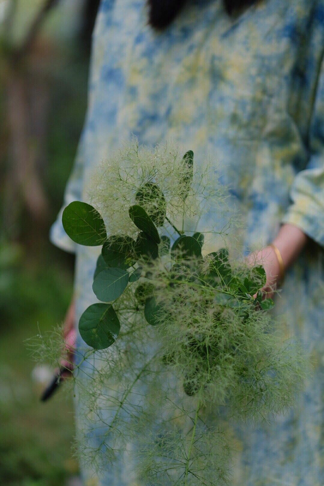 花朵就像时间在绿叶间掀起的波浪 一波花被雨打落 一波花又迎着 美图社区 美图秀秀