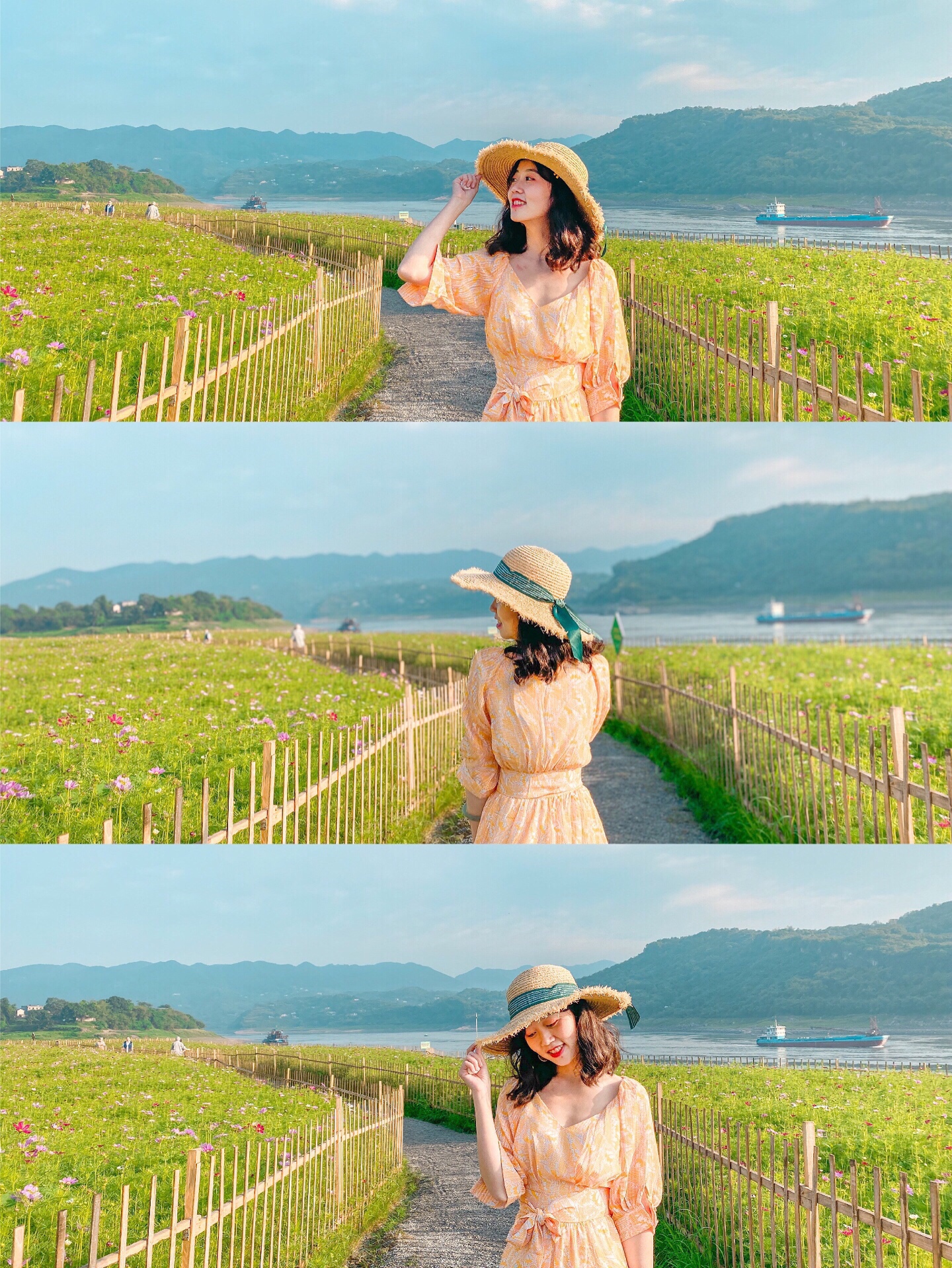 又到了一年格桑花的开花时期 最近毛驴小姐姐赶早去了巴南 美图社区 美图秀秀