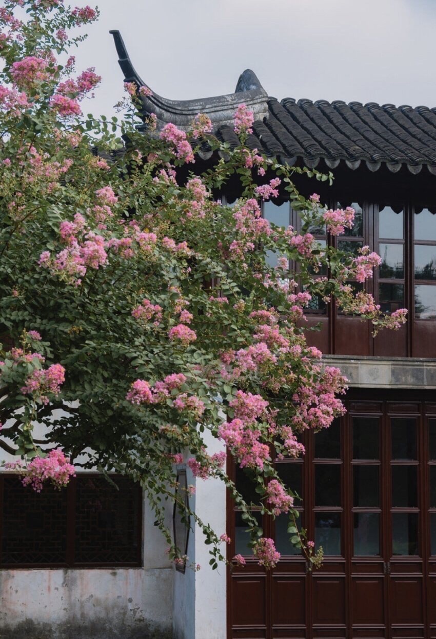 枝上花 花下人 可怜颜色俱青春 昨日看花花灼灼 今朝看花花 美图社区 美图秀秀