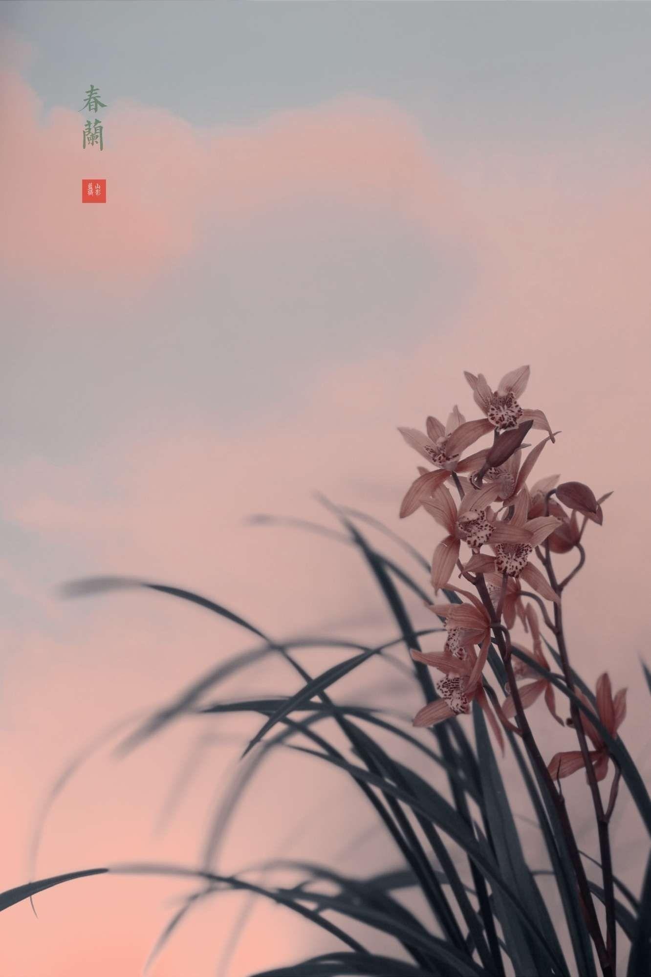 春色撩人 春色满园 春山如笑 美图社区 美图秀秀