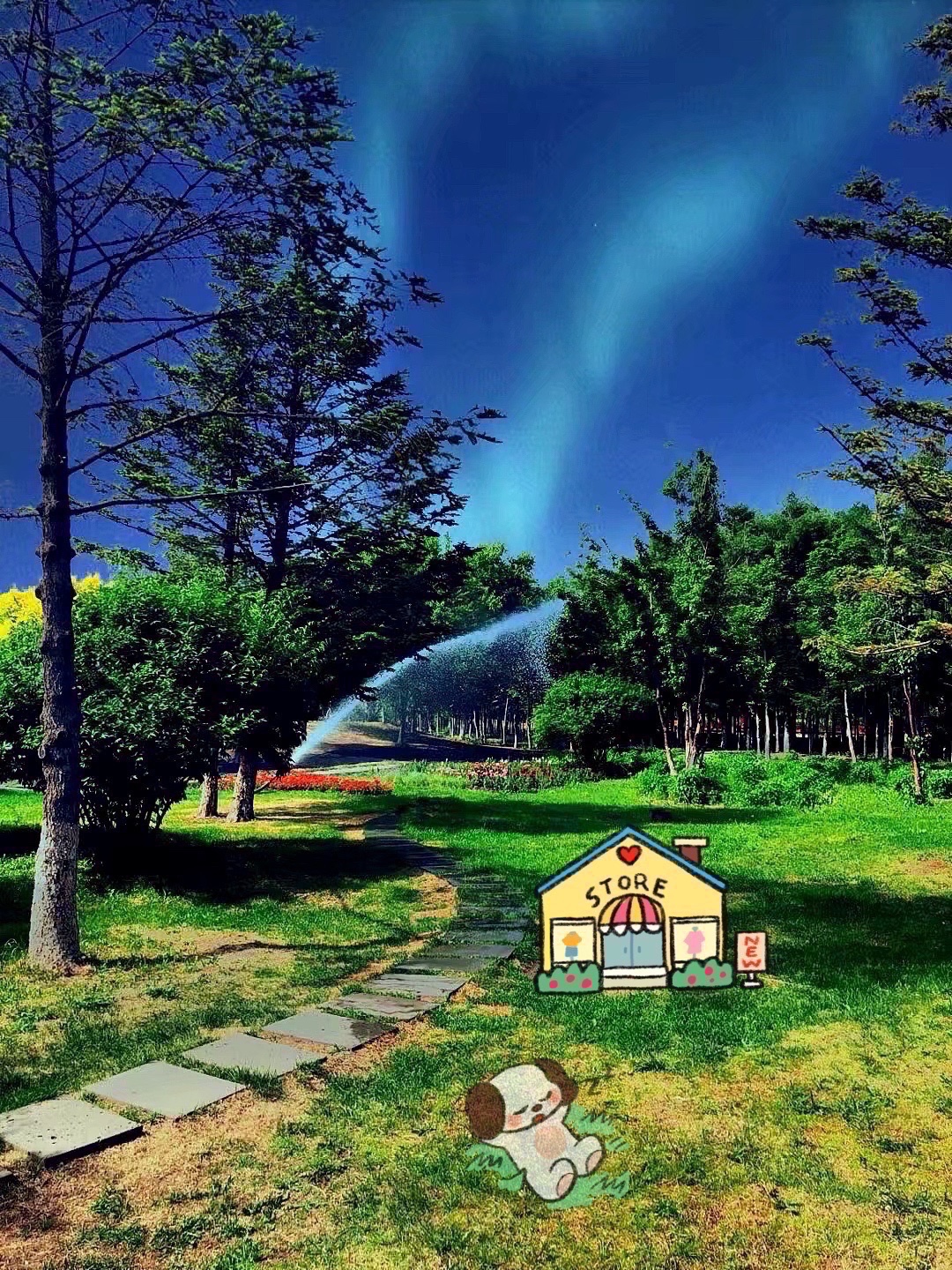 真实的风景加贴图和文字 竟然会这么美 被风吹过的夏夜到处都是 美图社区 美图秀秀