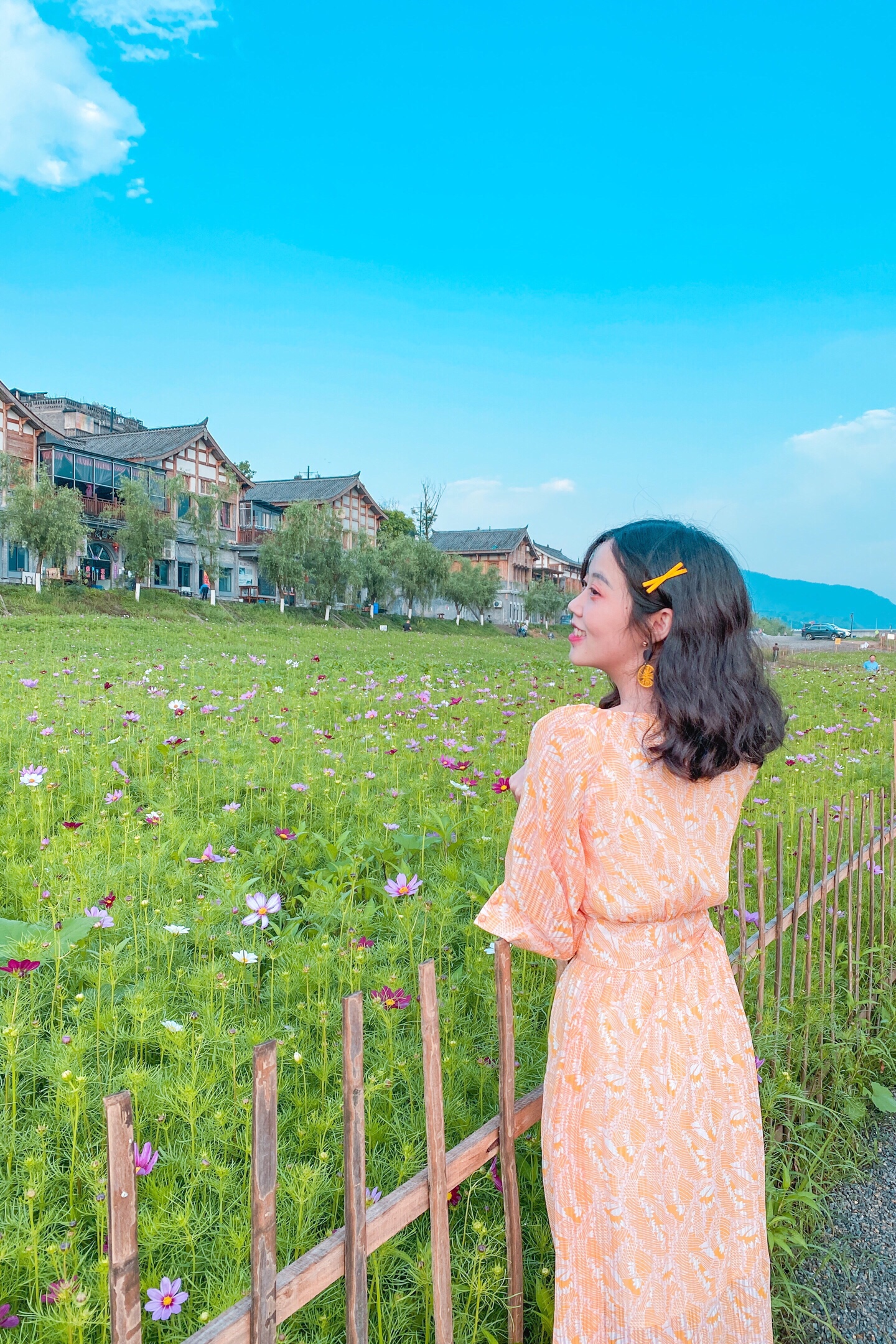 又到了一年格桑花的开花时期 最近毛驴小姐姐赶早去了巴南 美图社区 美图秀秀