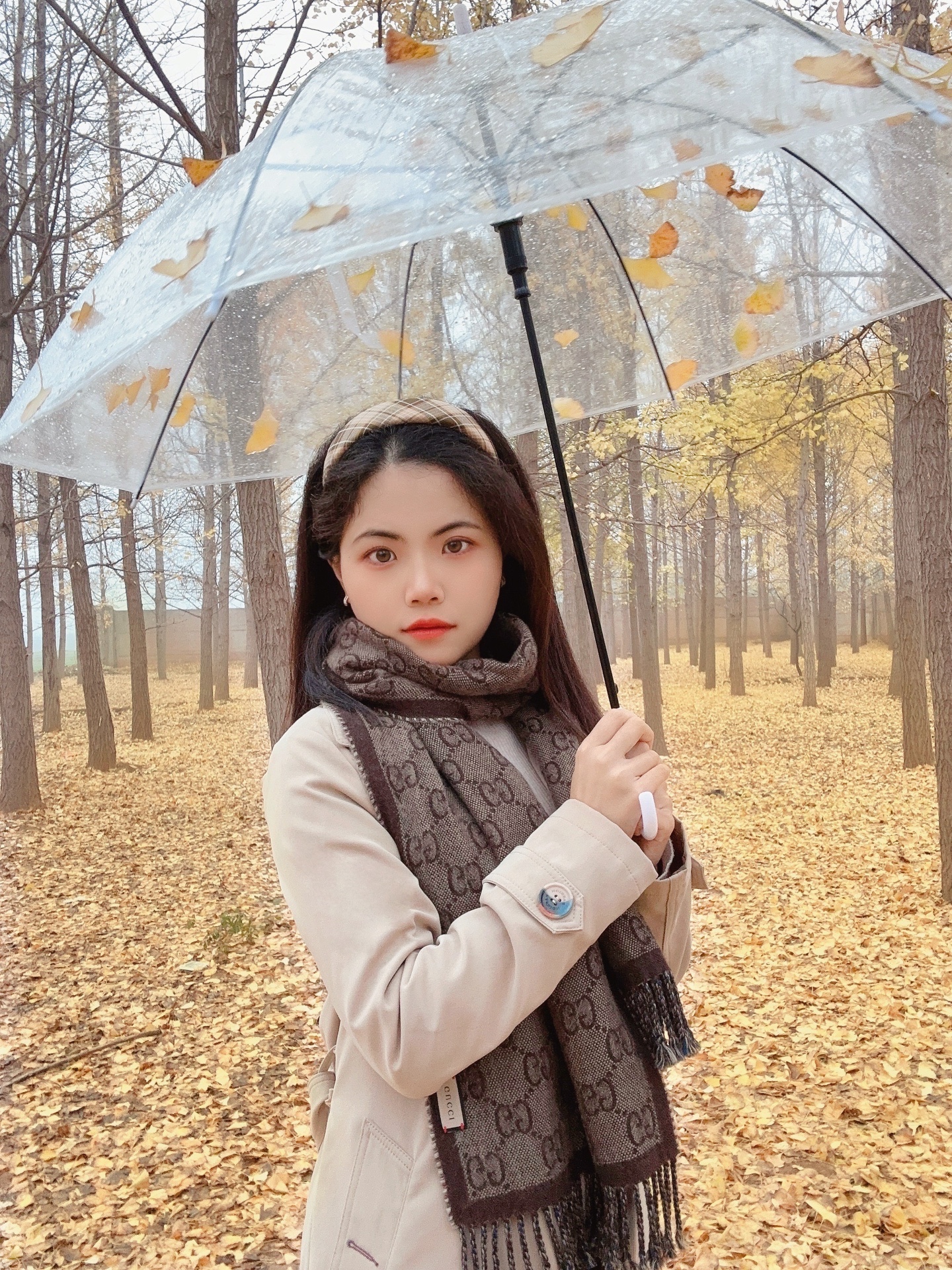 顺颂时祺，秋绥冬禧，慢度日常。人间忽晚山河已秋🍂MT小助美图社区美图秀秀