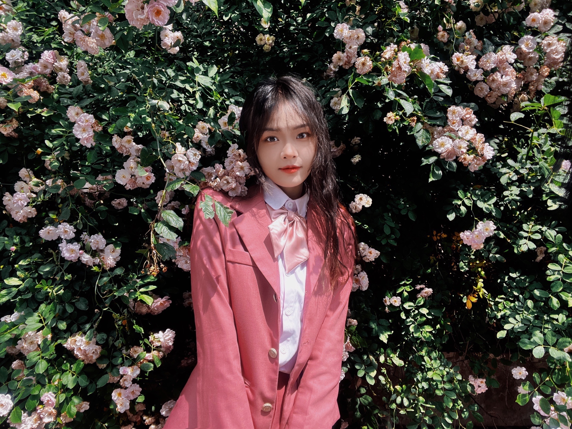 蔷薇花拍照啦到了该拍蔷薇花得季节不会摆弄姿势的可以收藏保存下 美图社区 美图秀秀