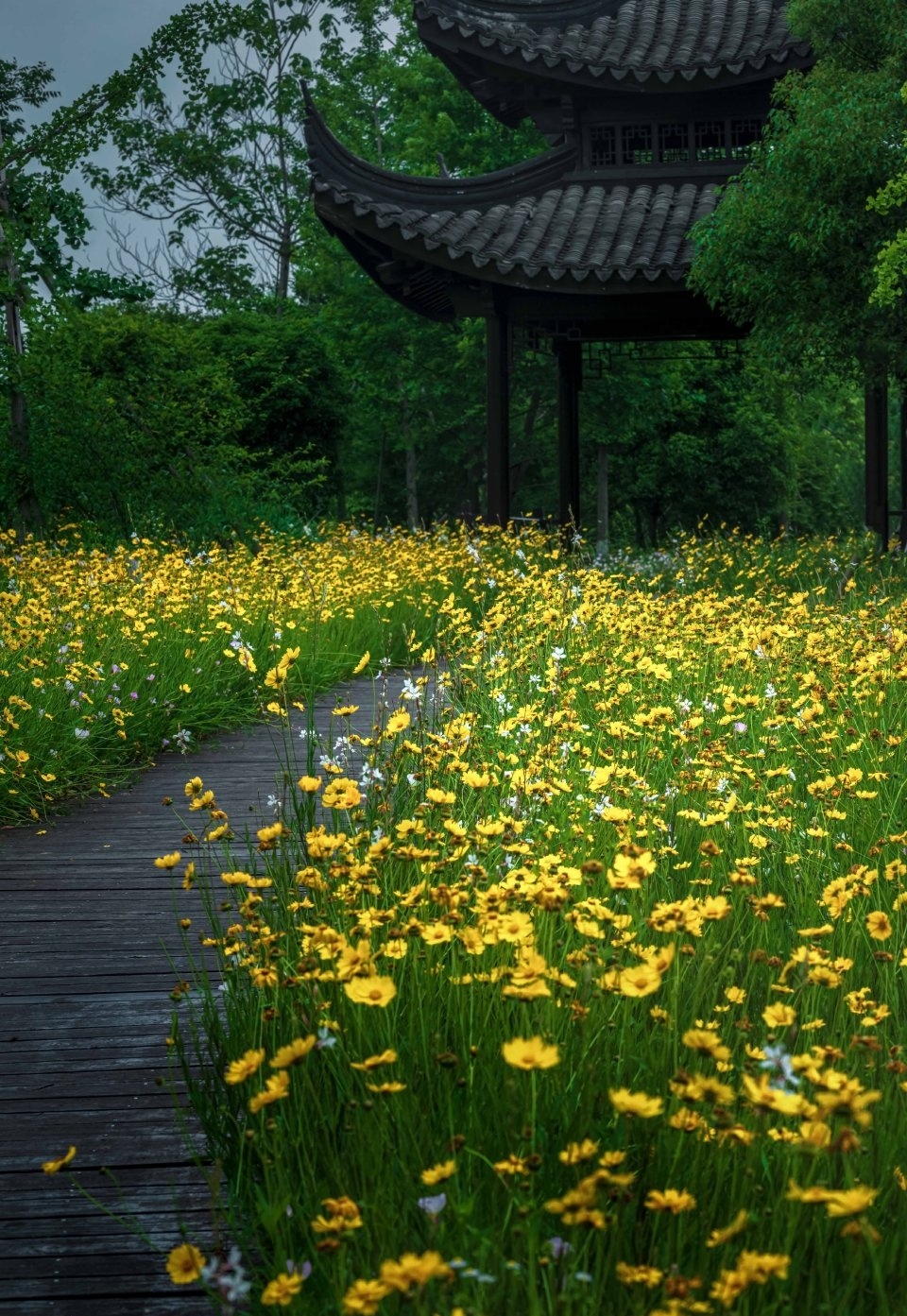 初夏的左岸花海 五彩缤纷 美图社区 美图秀秀