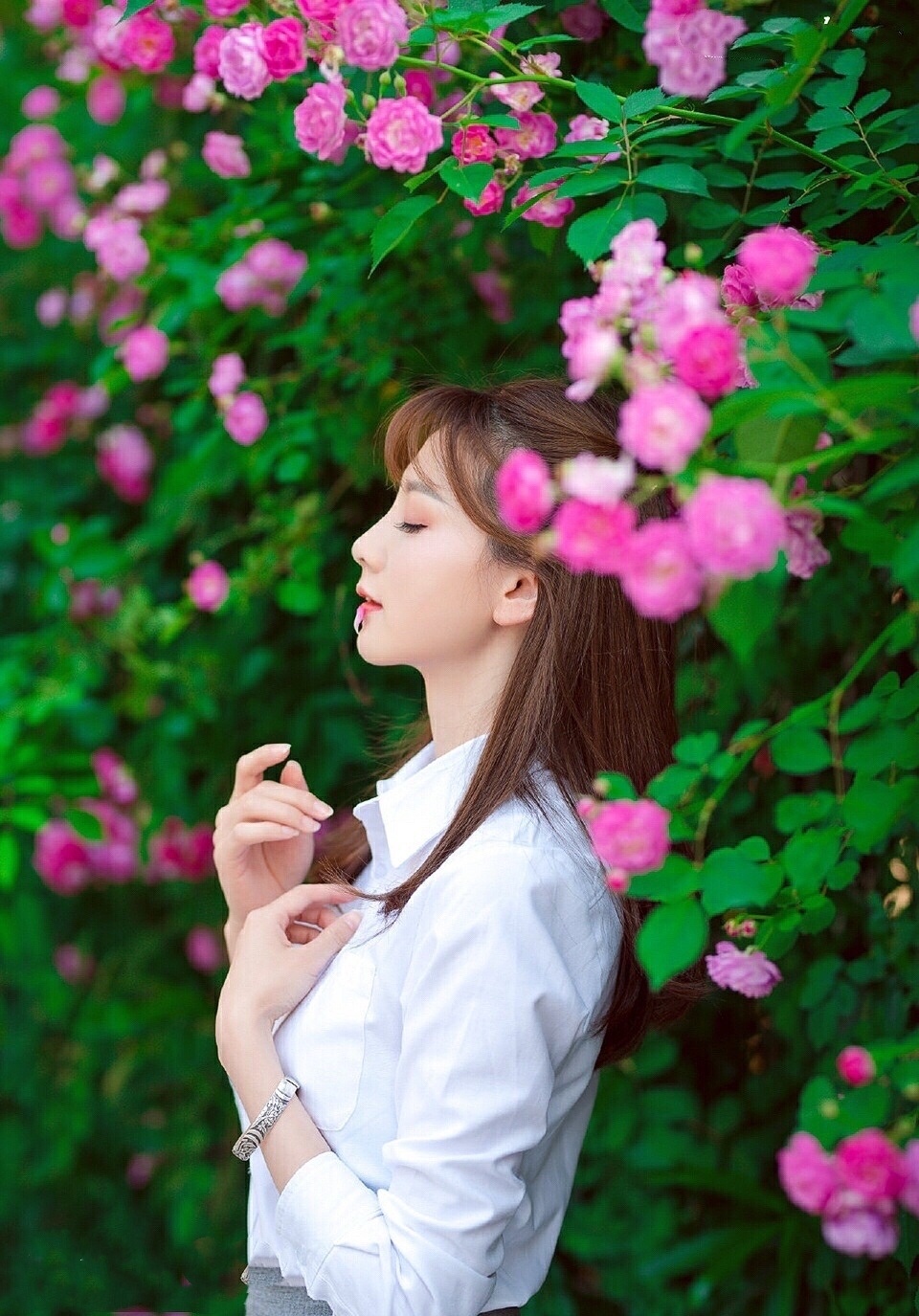 花开堪折直须折 莫待无花空折枝 美图社区 美图秀秀