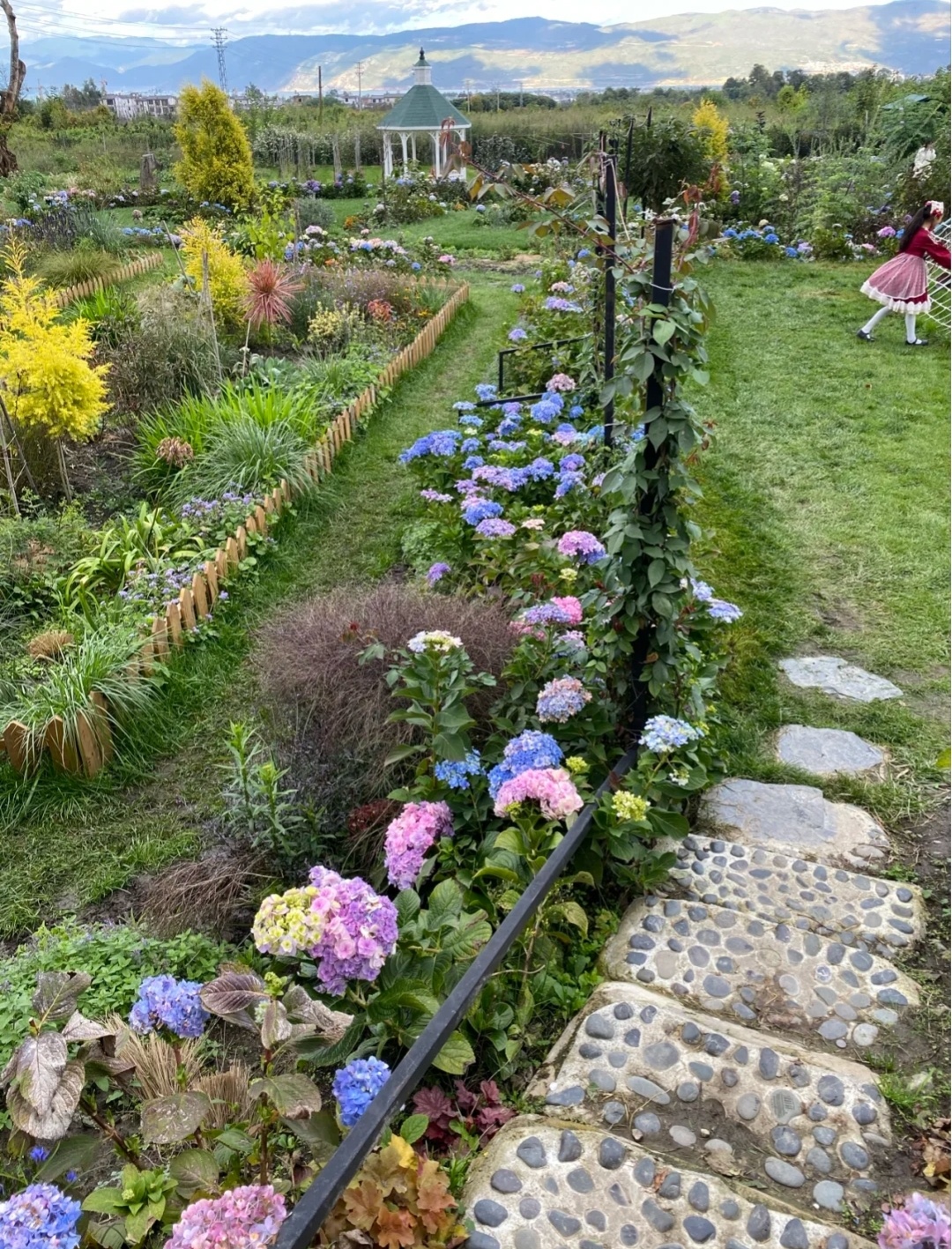 最值得一去的猫米花园 没有猫花园名字叫 猫米花园 实际 美图社区 美图秀秀