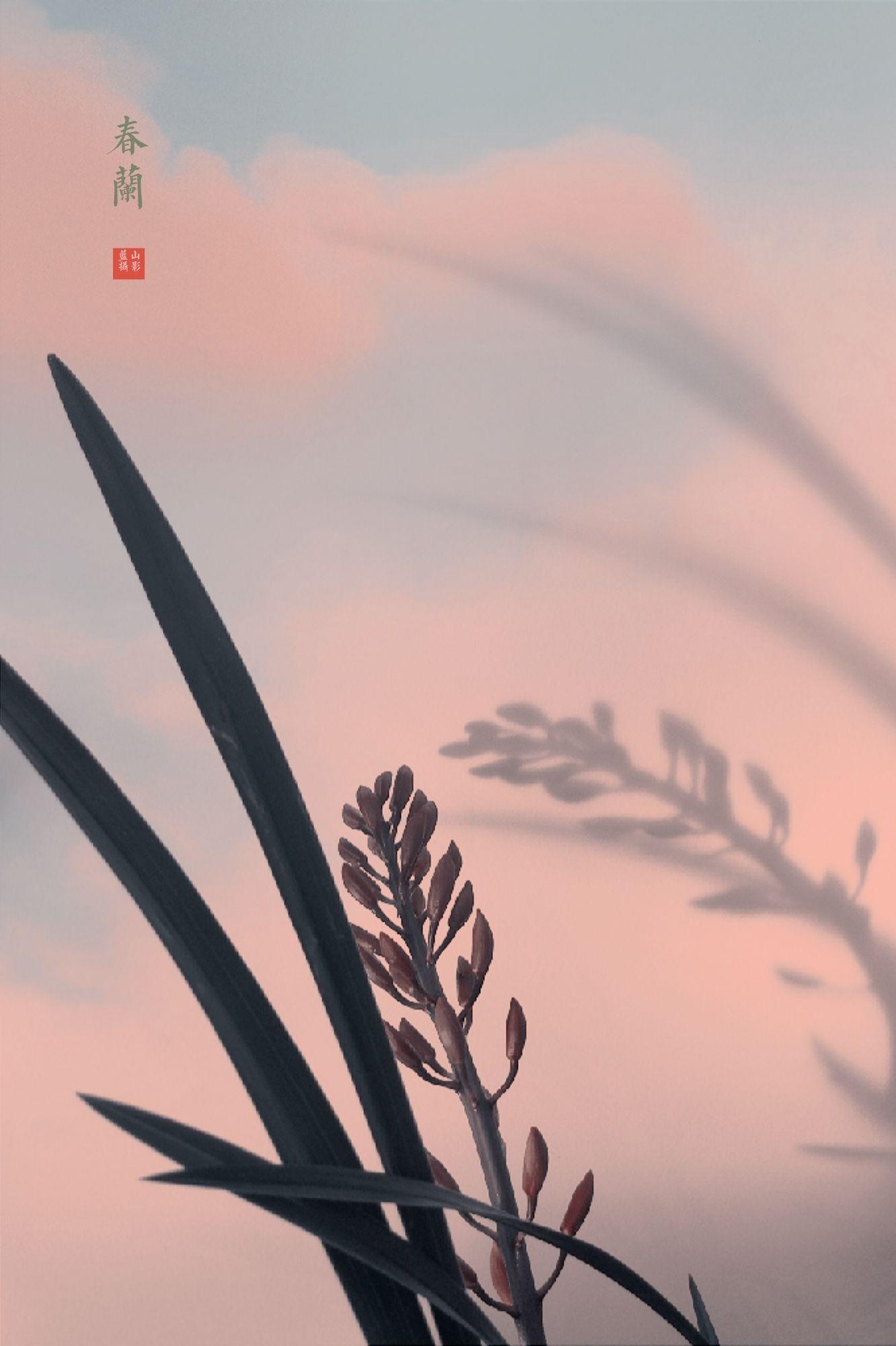 春色撩人 春色满园 春山如笑 美图社区 美图秀秀