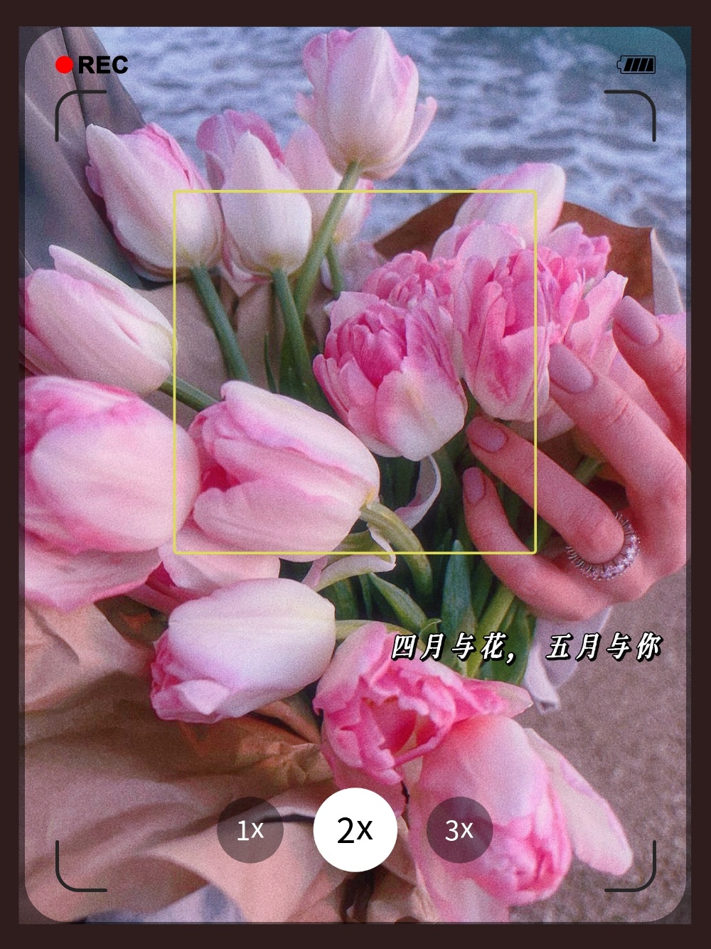 四月与花 五月与你 小清新氛围花束自拍 五月你好 图源网络 美图社区 美图秀秀