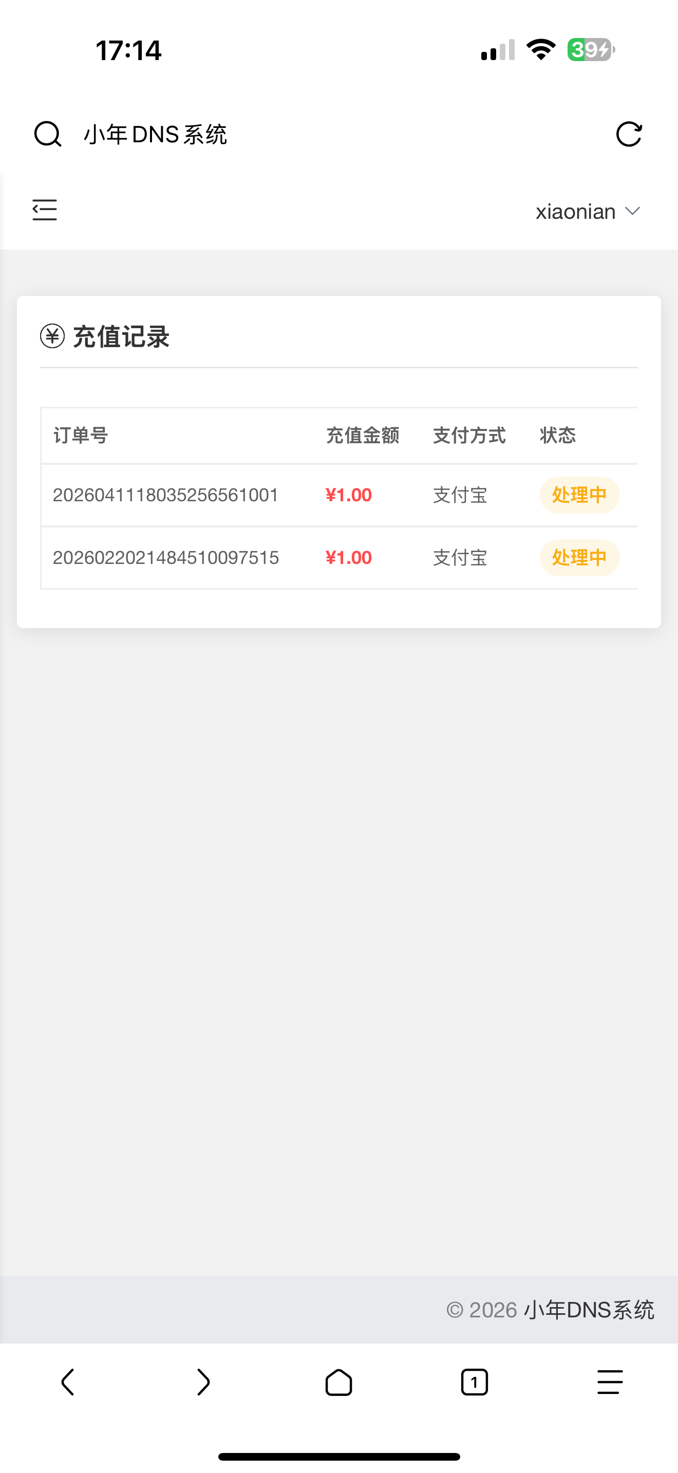 图片[3]-小年DNS系统-Xiaobei云